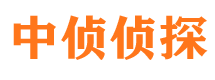 林口市私家侦探